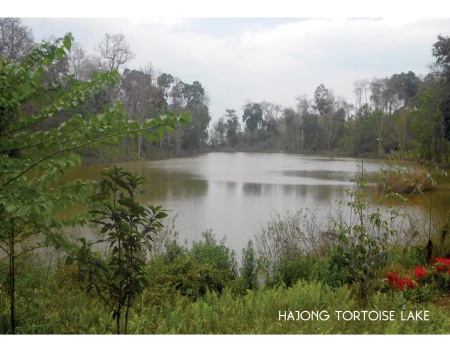 Hajong Tortoise Lake