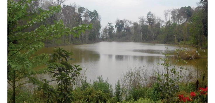 Hajong Tortoise Lake